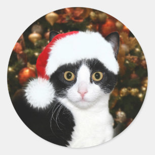 Tuxedo kitty kat Kerstmis Ronde Sticker