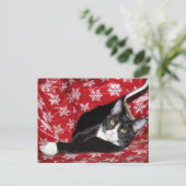 Tuxedo met kerstmis briefkaart (Staand voorkant)