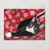Tuxedo met kerstmis briefkaart (Voorkant)