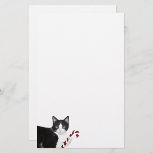 Tuxedo met kerstmis briefpapier (Voorkant / Achterkant)