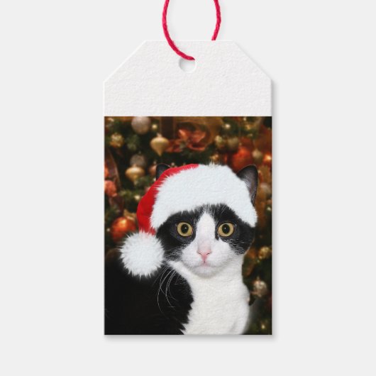 Tuxedo met kerstmis cadeaulabel (Voorkant)
