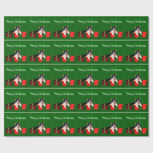 Tuxedo met kerstmis cadeaupapier (Vlak)