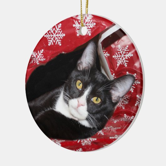 Tuxedo met kerstmis keramisch ornament (Links)