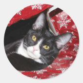 Tuxedo met kerstmis ronde sticker (Voorkant)