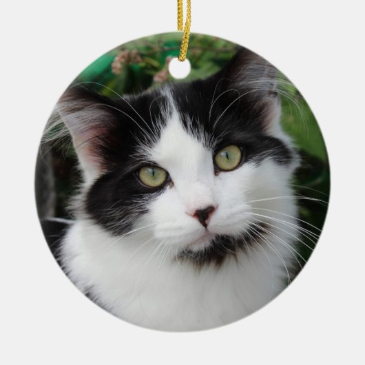 Tuxedo-ornament Keramisch Ornament (Voorkant)