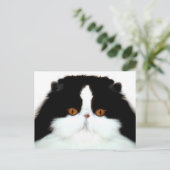 Tuxedo persiaanse kat briefkaart (Staand voorkant)