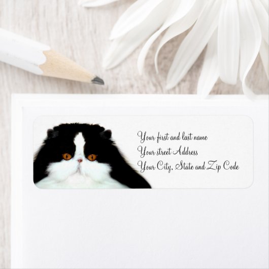 Tuxedo persiaanse kat etiket (Insitu)