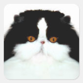 Tuxedo persiaanse kat vierkante sticker (Voorkant)