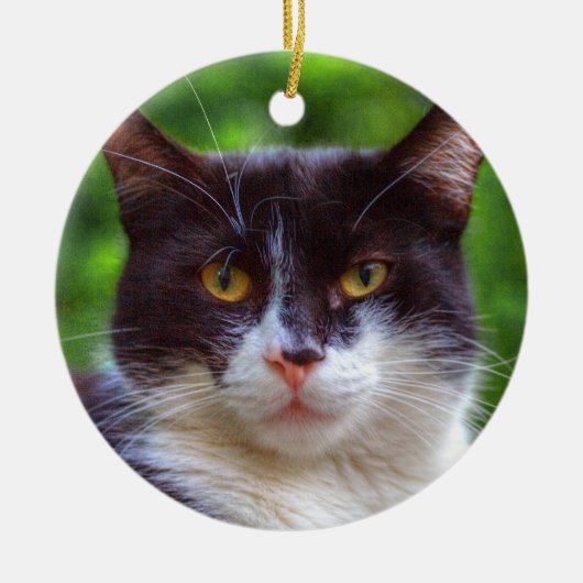 Tuxedo Portrait Keramisch Ornament (Voorkant)