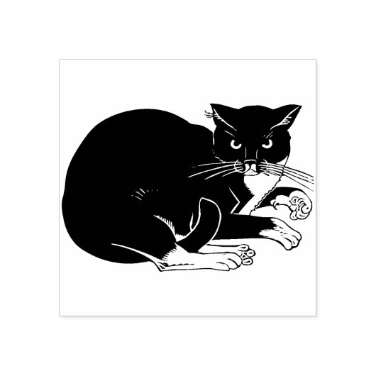 tuxedo-zegel voor katten rubberstempel (Afrduk)