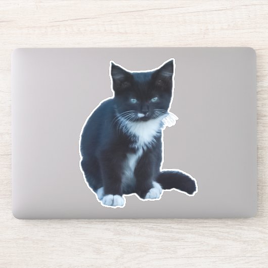 Tuxedo zwart-wit kitten zitten en kijken sticker (Computer)