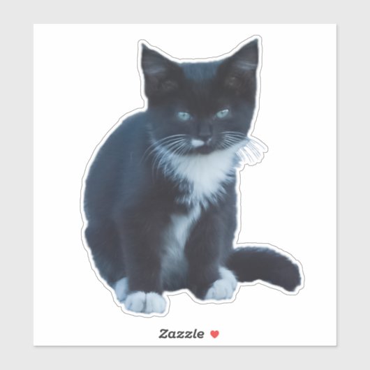 Tuxedo zwart-wit kitten zitten en kijken sticker (Vel)