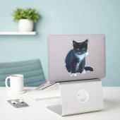 Tuxedo zwart-wit kitten zitten en kijken sticker (Laptop op bureau)