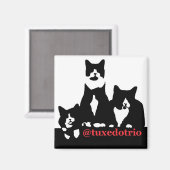 TuxedoTrio magneet (Voorkant / Achterkant)