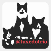 TuxedoTrio Square Vierkante Sticker (Voorkant)