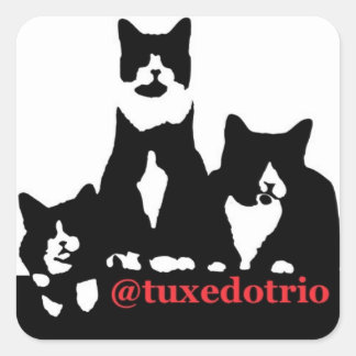 TuxedoTrio Square Vierkante Sticker