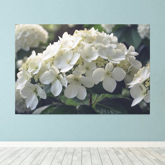 *~* TV2 Zachte Hydrangea Uitgerekte Canvas Print (Insitu (Houten vloer))