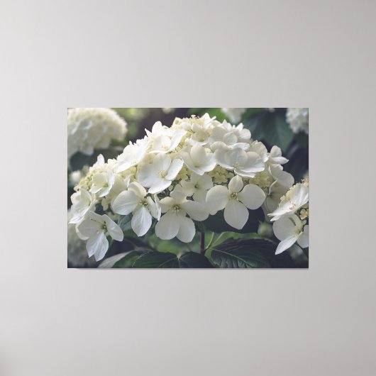 *~* TV2 Zachte Hydrangea Uitgerekte Canvas Print (Voorkant)