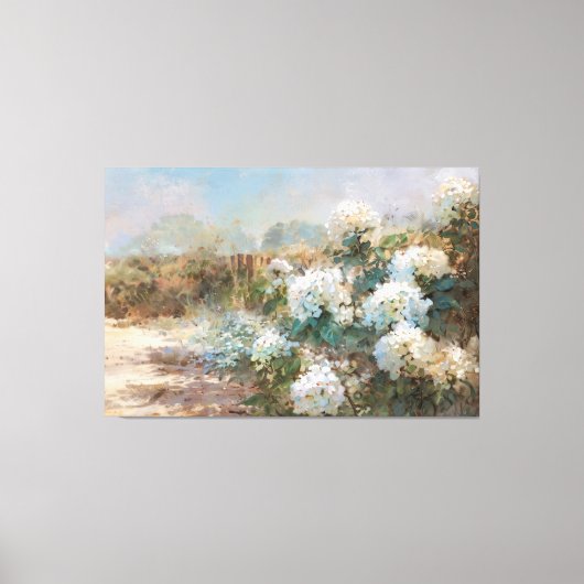 *~* TV2 Zandstrand Hydrangea kunst Canvas Print (Voorkant)