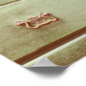 tv-ster poster (Hoek)