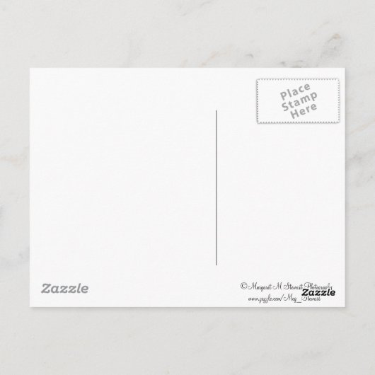 Tvertrouwt Chipmunk Briefkaart (Achterkant)