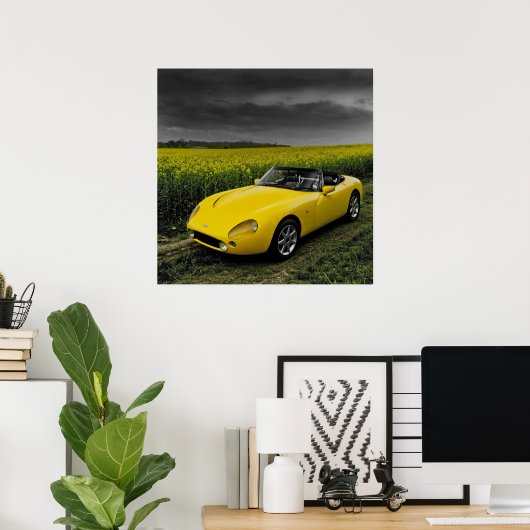 TVR Griffith Print (Thuiskantoor)