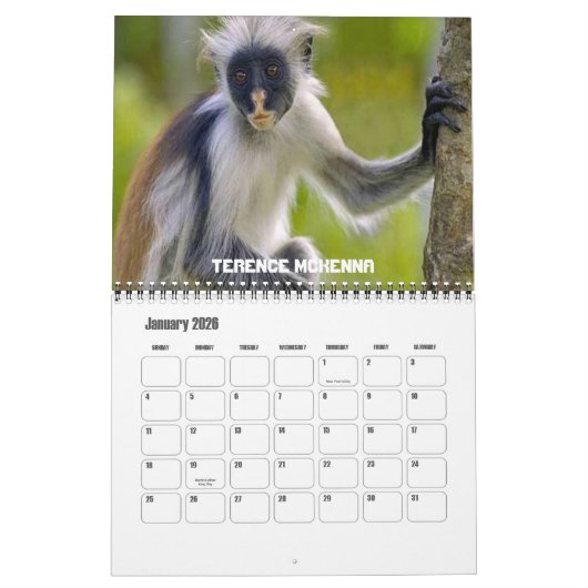Twaalf apen kalender (Jan 2026)