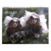 Twaalf apen kalender (Hoes)