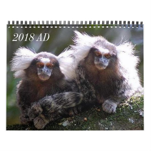 Twaalf apen kalender (Hoes)
