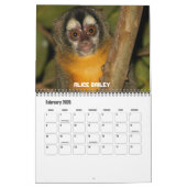 Twaalf apen kalender (Feb 2026)