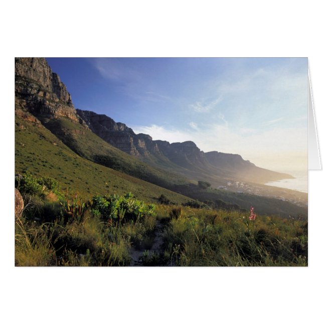 Twaalf Apostelen, Kaapstad, Westkaap (Voorkant Horizontaal)