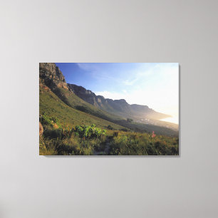 Twaalf Apostelen, Kaapstad, Westkaap Canvas Afdruk