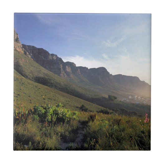 Twaalf Apostelen, Kaapstad, Westkaap Tegeltje (Voorkant)