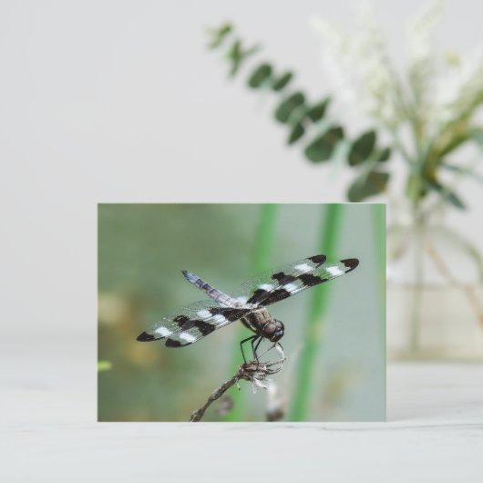 Twaalf Briefkaart met huidplooi (Staand voorkant)