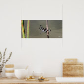 Twaalf gepotte huid 1 poster (Keuken)