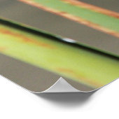 Twaalf gepotte huid 1 poster (Hoek)