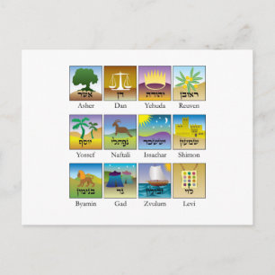 Twaalf Israëlische zeehonden Briefkaart