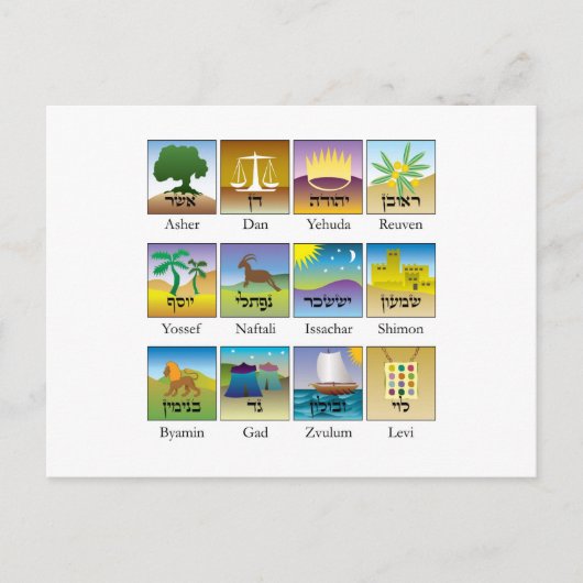 Twaalf Israëlische zeehonden Briefkaart (Voorkant)