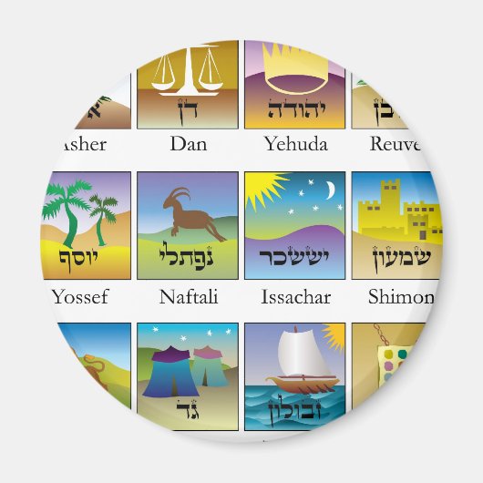 Twaalf Israëlische zeehonden Magneet (Voorkant)