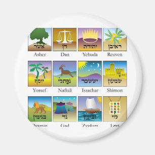 Twaalf Israëlische zeehonden Magneet