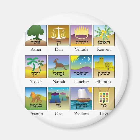 Twaalf Israëlische zeehonden Magneet (Voorkant)