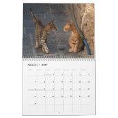 Twaalf prachtige katten Afbeeldingen Kalender (Feb 2027)