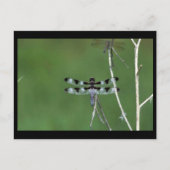 Twaalf-vlek Briefkaart (Voorkant)