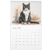 Twaalf Watercolor Katten Kalender (Jan 2027)