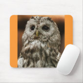 Twany Owl Muismat (Met muis)