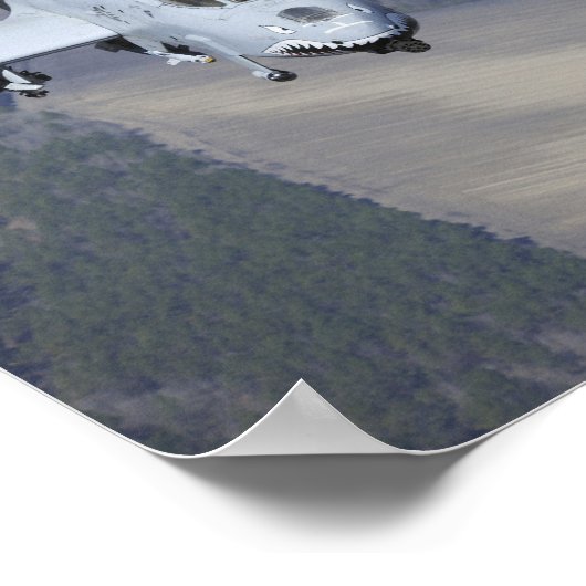 Twee A-10C Thunderbolt II-vliegtuig vliegen in for Poster (Hoek)