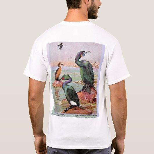 Twee aalscholversoorten, voorste/achterste illustr t-shirt (Achterkant)