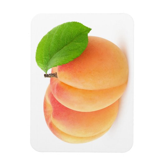 Twee abrikozen magneet (Verticaal)