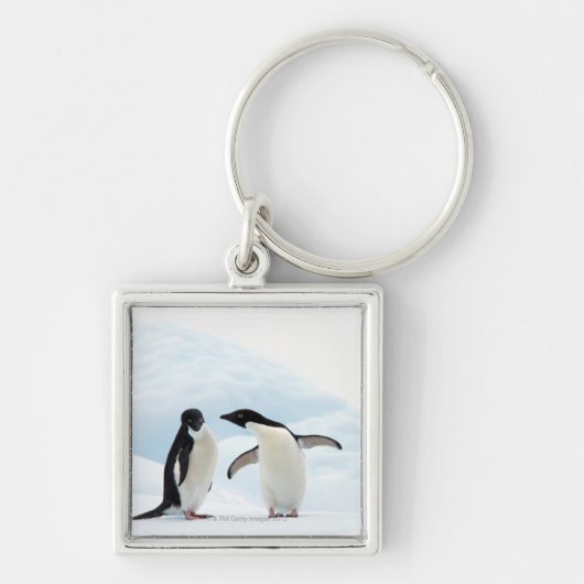 Twee Adelie Penguins die op een ijskap zitten Sleutelhanger (Voorkant)