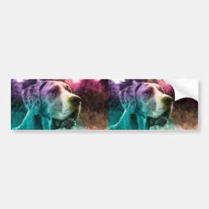 Twee afbeeldingen Auto bumper  Bumpersticker